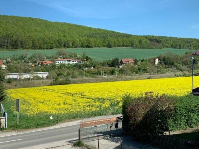 Ferienwohnung Werratal Obermassfeld-Grimmenthal Экстерьер фото